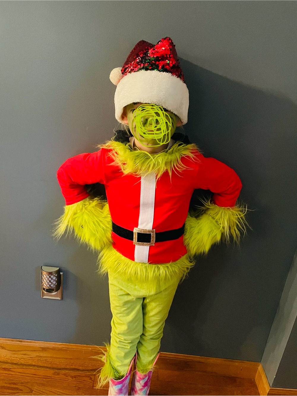 The Grinch Halloween costume - size 4T-5T